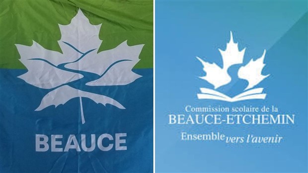 Similitudes frappantes : manque de créativité ou coïncidence ? 