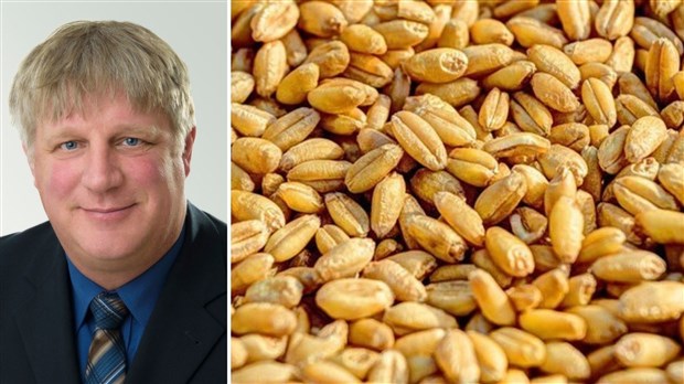 Lettre ouverte: Pour une politique ambitieuse de soutien à la lutte aux ravageurs