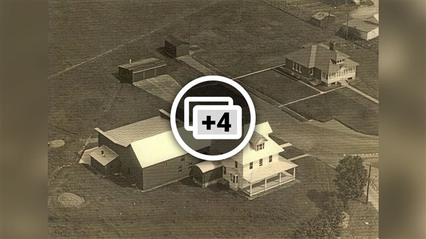 LA COMPAGNIE FORESTIÈRE BROWN CORPORATION