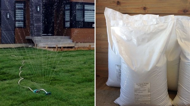 Trucs et conseils pour votre gazon à l'approche de l'automne