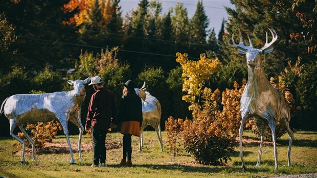 La MRC des Etchemins offrira une riche programmation lors des Journées de la culture