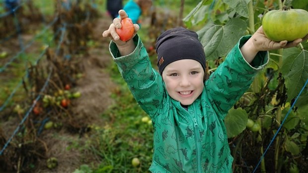 Les cuisines de Let's Go seront autosuffisantes en fruits et légumes en 2019