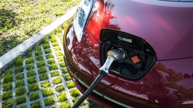 71 % plus de véhicules électriques au Québec en un an