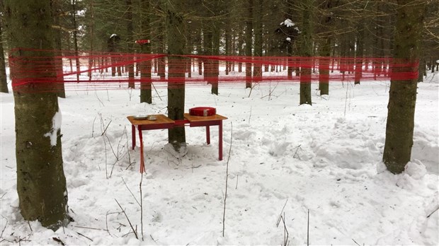 Créateurs recherchés!