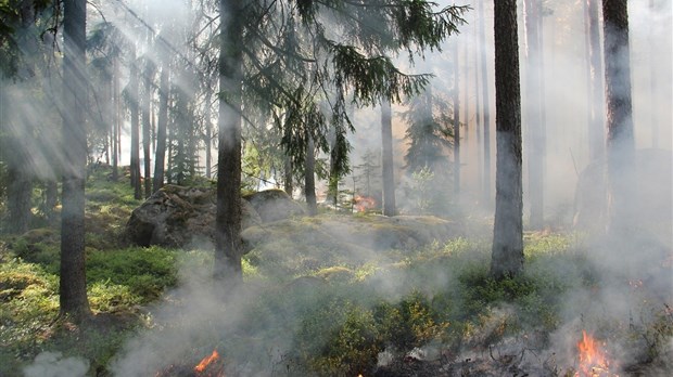 Septembre a été un mois dans la moyenne pour la SOPFEU