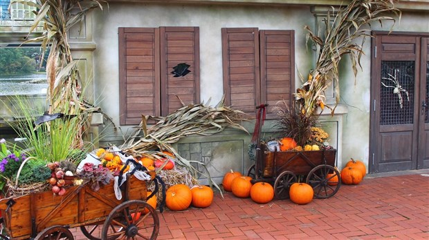 Le « Hallow-Fest » en zone rouge à Sainte-Marie