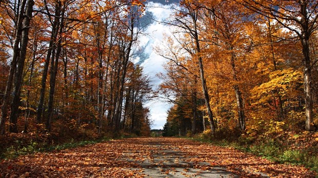 Captez-nous en photos la belle saison des couleurs — GALERIE 4