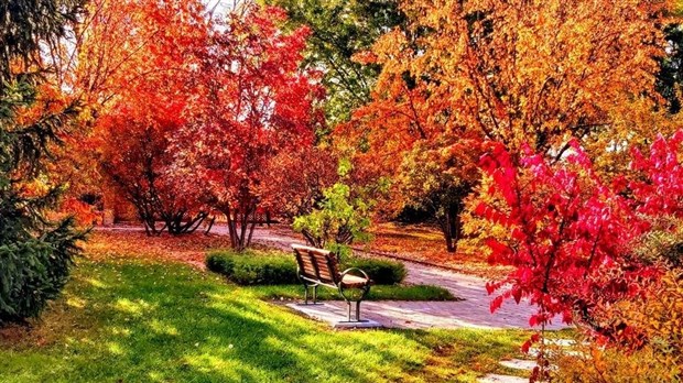 Captez-nous en photos la belle saison des couleurs — GALERIE 6