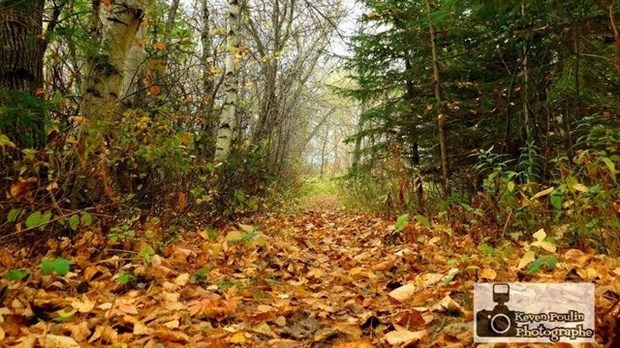 Captez-nous en photos la belle saison des couleurs — GALERIE 8