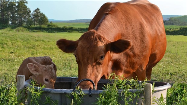 Concours photo de l'UPA : Danielle Robinson remporte le premier prix