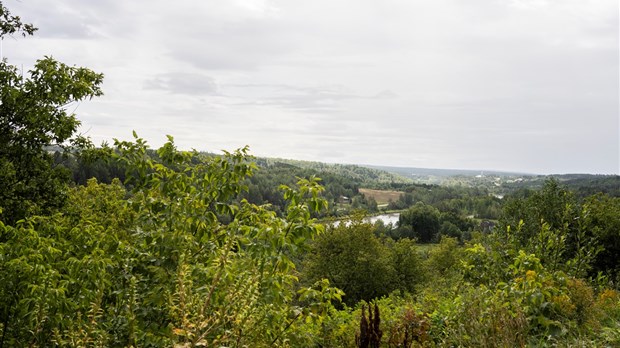 Concertation régionale de Chaudière-Appalaches : ID Territoires rejoint le comité