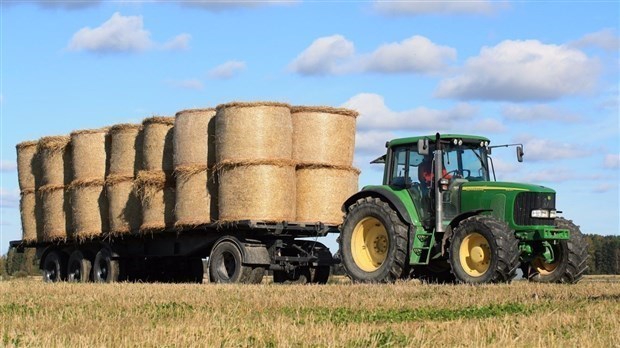 COVID-19: 7,5 M$ en fonds d'urgence pour les agriculteurs