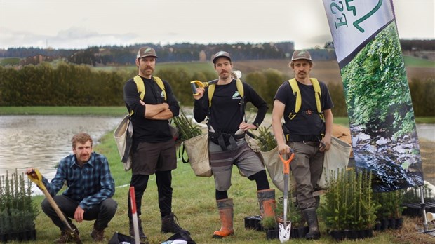 Plus de 500 arbres plantés à Saint-Joseph-de-Beauce