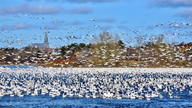 Saint-Lambert-de-Lauzon : Les gagnants du concours photos dévoilés