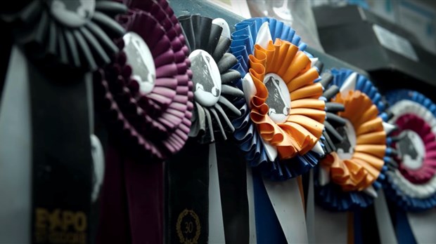Le Club Holstein de Beauce remet ses prix annuels en gala virtuel