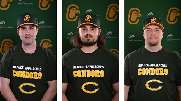 Les Condors accueillent 3 nouveaux entraîneurs de baseball