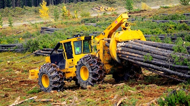 Québec propose sa Stratégie nationale de production de bois