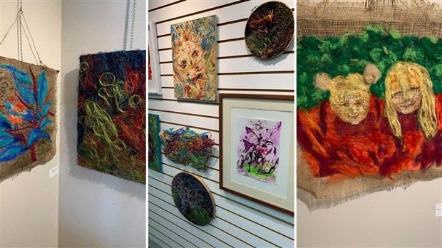 Exposition « Imaginous » de l’artiste Lucie Veilleux