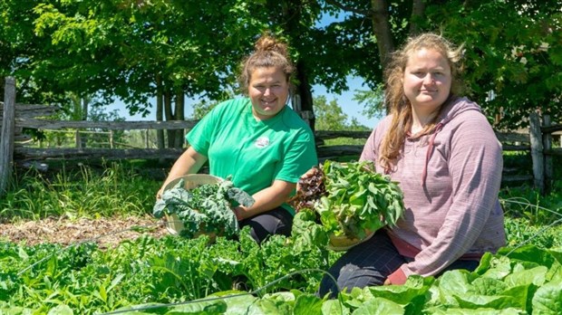 La Fédération de l'UPA de la Chaudière-Appalaches lance un concours photo