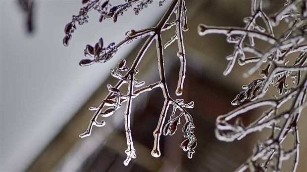 Pluie, verglas et vents forts à venir 