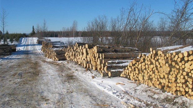 L’Association invite les propriétaires de boisés à arrêter de produire du bois