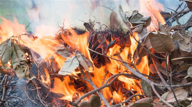 Saint-Georges interdit le brûlage de déchets sur son territoire 
