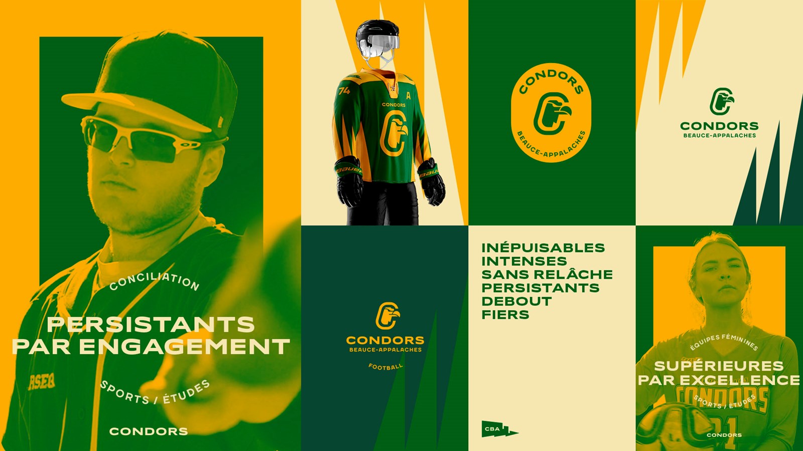 Les Condors du Cégep BeauceAppalaches dévoilent leur nouveau logo