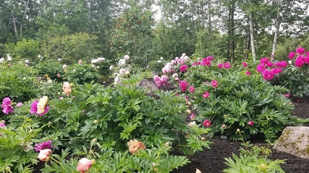 Les Beaucevillois invités à fleurir leur ville 