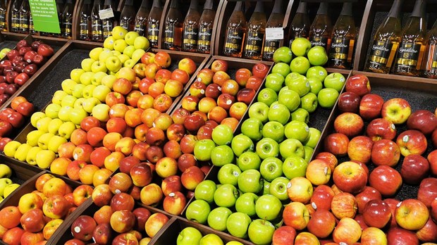 Une pétition pour encourager l'autonomie alimentaire