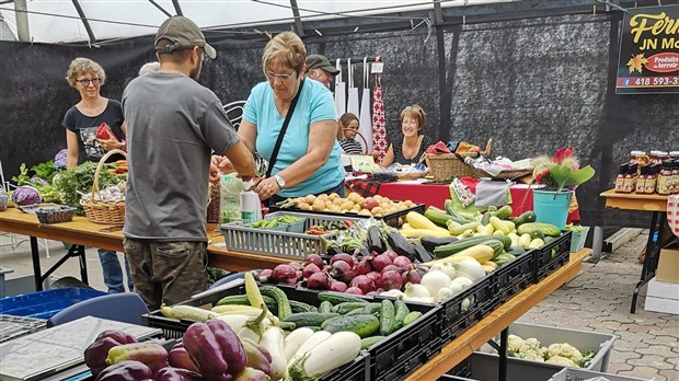 Nouvelle initiative de soutien pour des projets agricoles en circuits courts