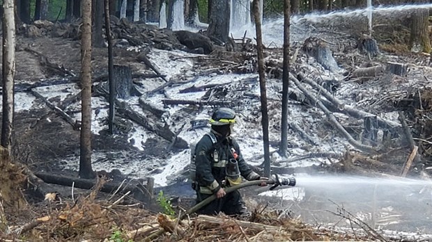 Dernière heure: feu de forêt dans le secteur de Jersey Mills