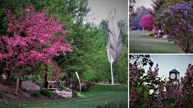 Galerie photos 2: la fleuraison en Beauce 