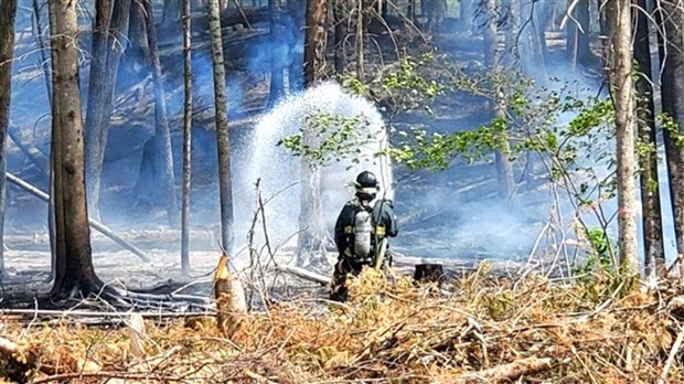 Un printemps exceptionnellement sec entraîne deux fois plus d’incendies qu’à l’habitude