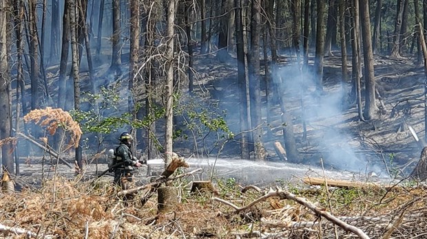 Le danger d’incendie de forêt variera d’ «élevé» à «extrême», avise la SOPFEU