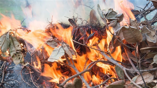 Interdiction de faire des feux à ciel ouvert en forêt ou à proximité