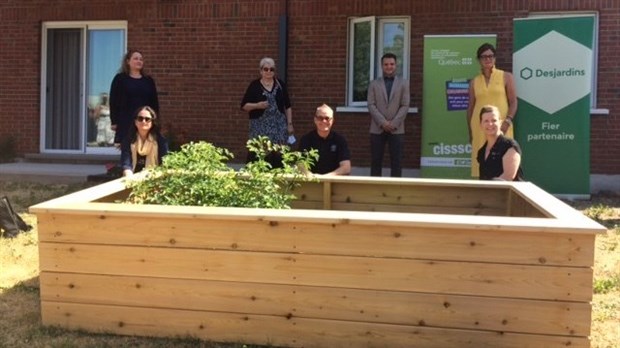 Briser l'isolement des personnes aînées avec des jardinières