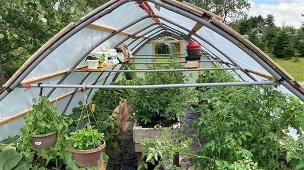 Galerie 1 : des potagers photogéniques!