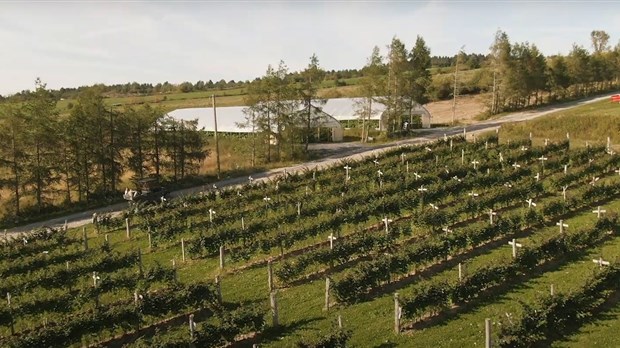 La Route de la Beauce mise à l'écran