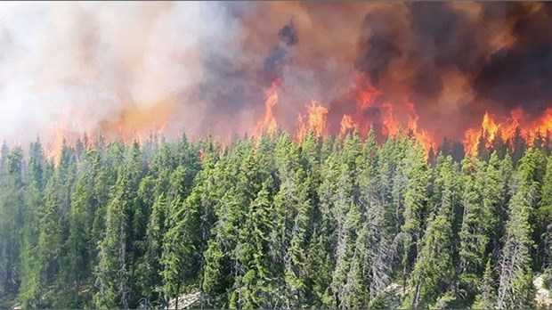 La foudre a causé plusieurs incendies de forêt au coeur de l’été