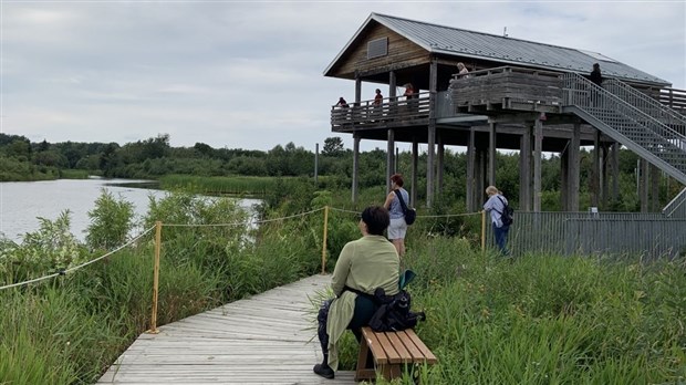 Le domaine Tashereau vous invite à découvrir le Shinrin-Yoku