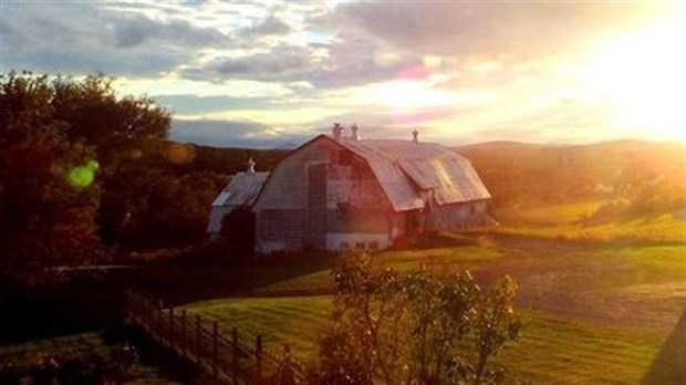 Galerie 2: As-tu vu la belle grange?