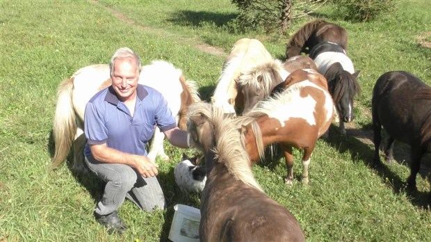 Normand DeLessard présente Guymont Labbé et sa passion pour les chevaux miniature