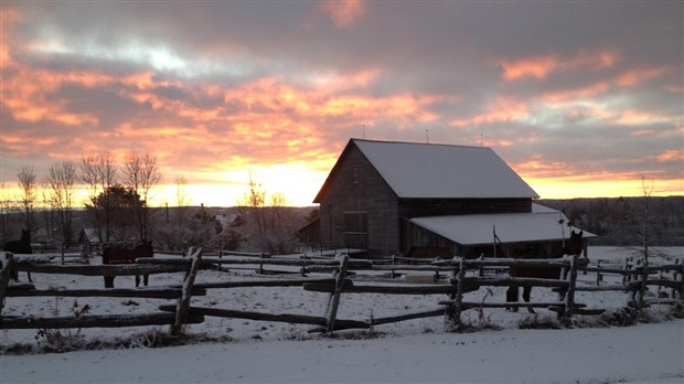 Galerie 4: As-tu vu la belle grange?