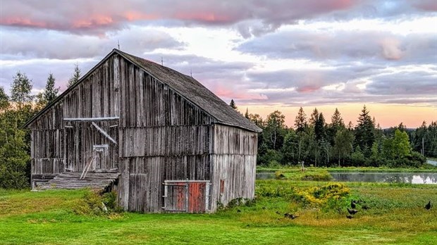 Galerie 5: As-tu vu la belle grange?