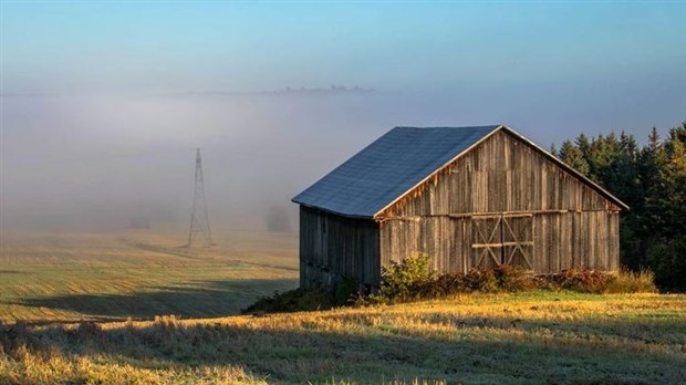 Galerie 6: As-tu vu la belle grange?