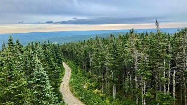 8,7 M$ pour stimuler le tourisme au Québec