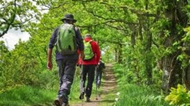 À l'heure actuelle, comment occupez-vous vos temps libres?