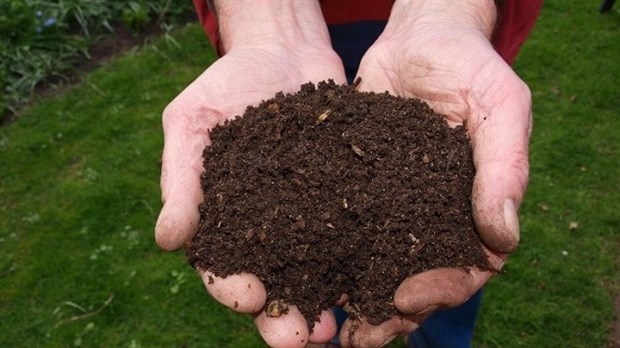 Atelier virtuel: comment faire son compost?