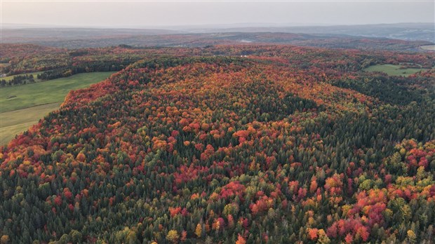 Captez-nous en photos la belle saison des couleurs — GALERIE 1