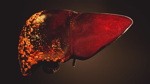 Le tabac cause cinq types de cancer digestifs 